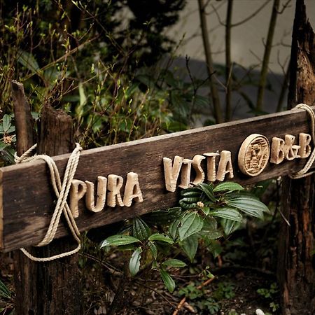 B&B Pura Vista Zandhoven Экстерьер фото